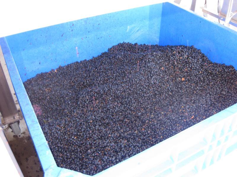 http://www.rotovib.de/sites/default/files/imagecache/bild_gross/Bild 184_0.jpg